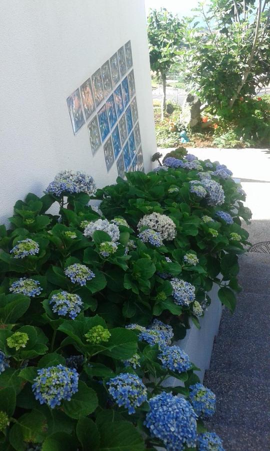 Casa-Albatros Ponta do Sol (Madeira) Exterior foto