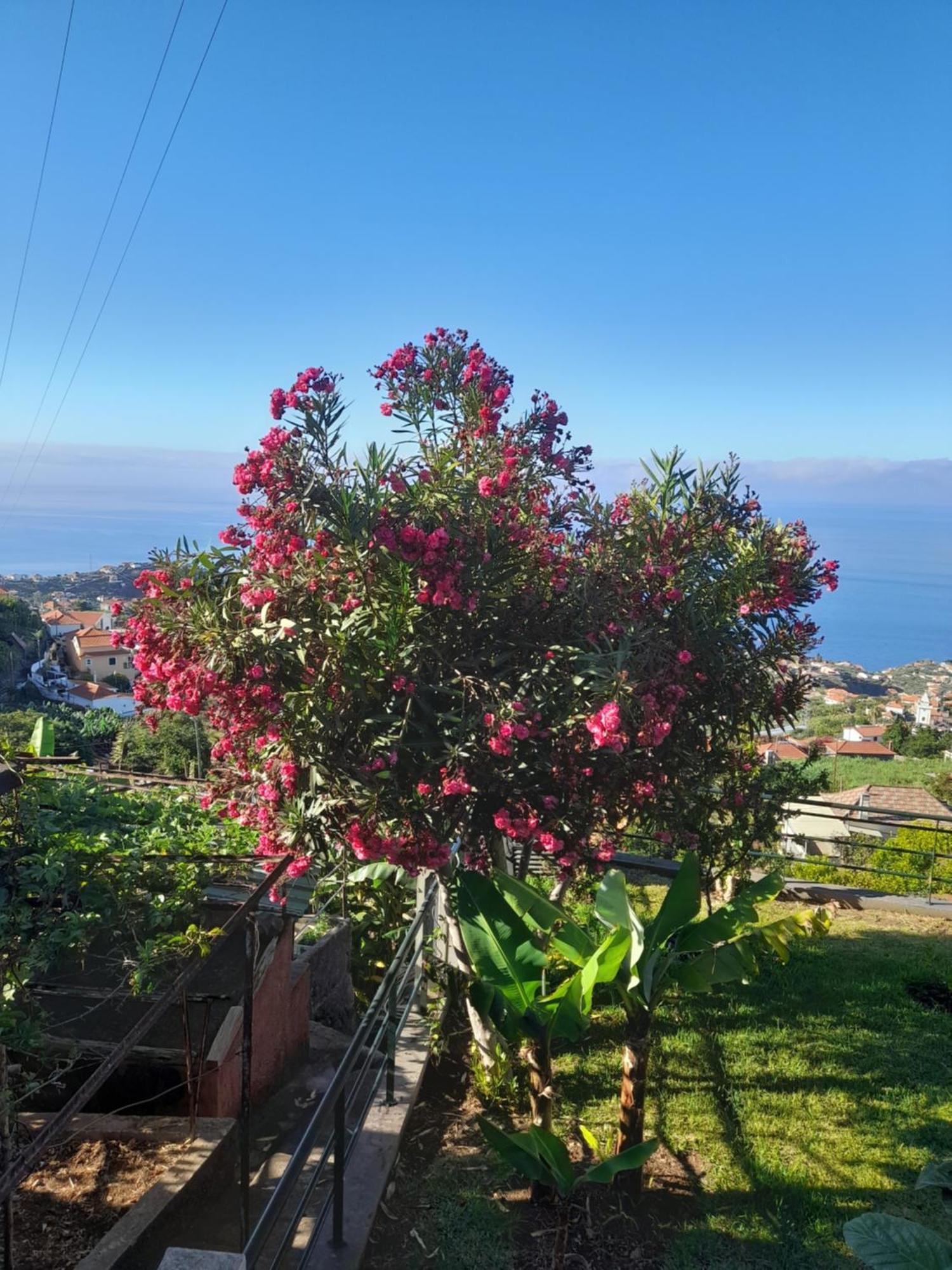 Casa-Albatros Ponta do Sol (Madeira) Exterior foto
